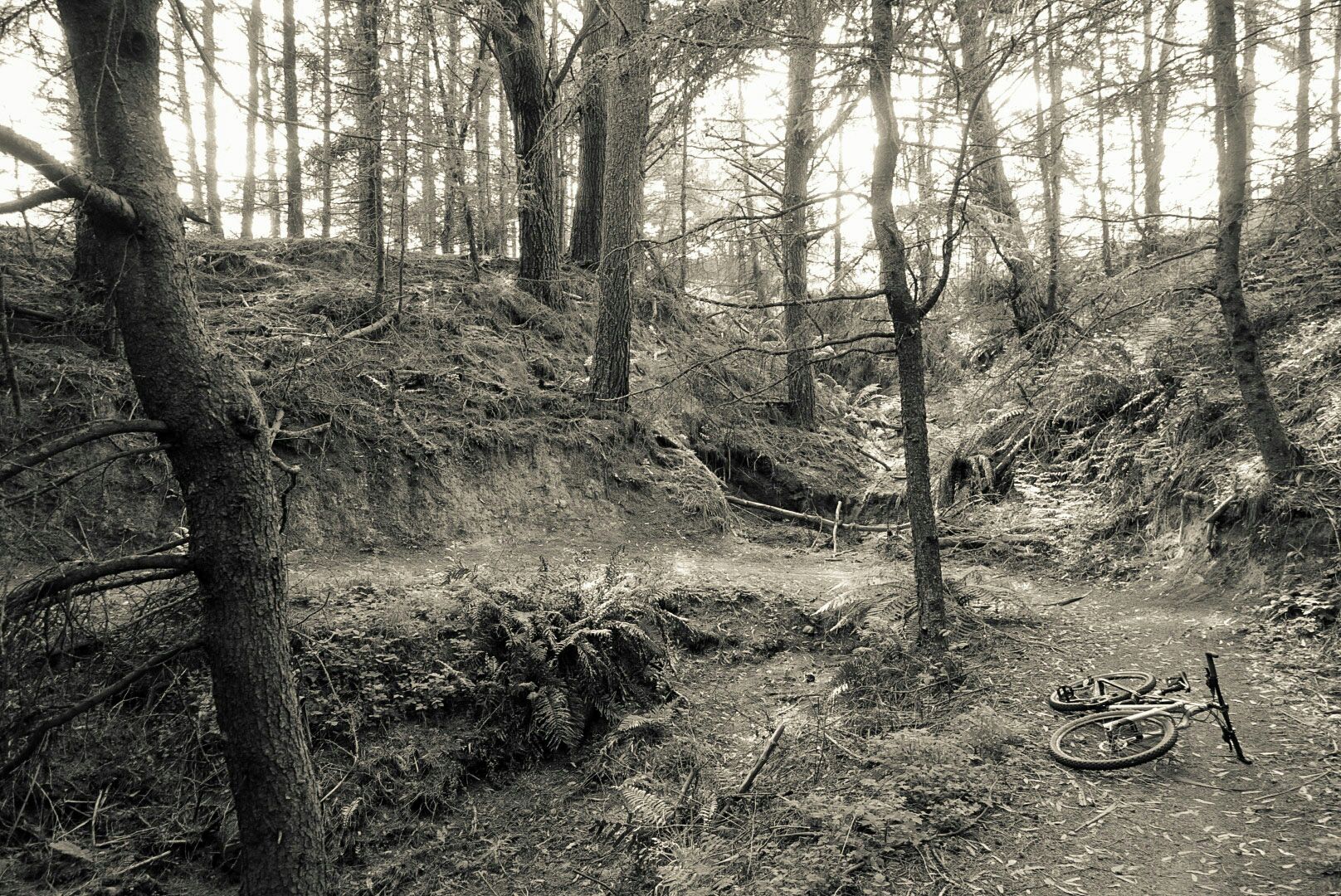 Great Lake Trail