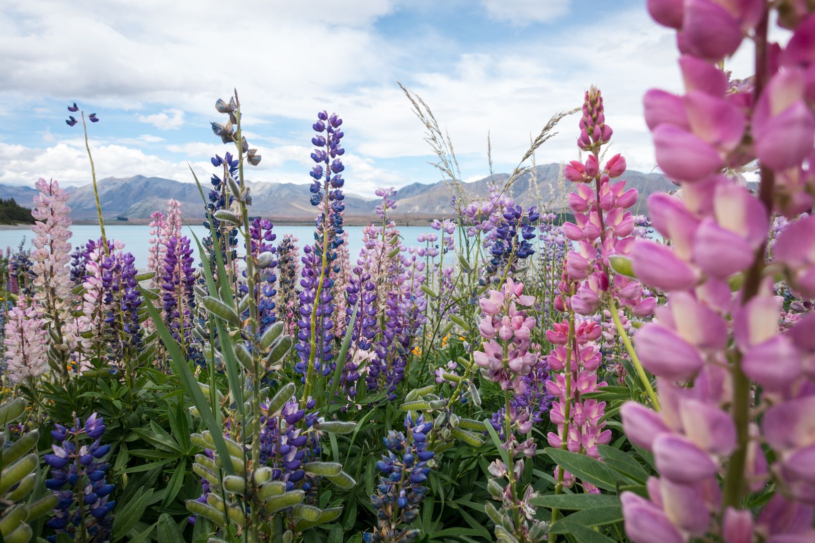 Unterwegs in Otago