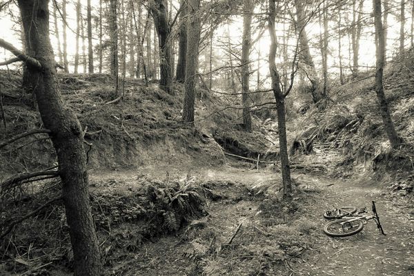 Great Lake Trail
