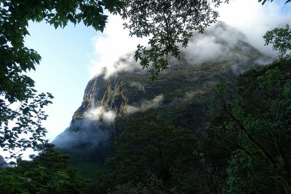 Milford Track - Von Tütennahrung wird man nicht satt